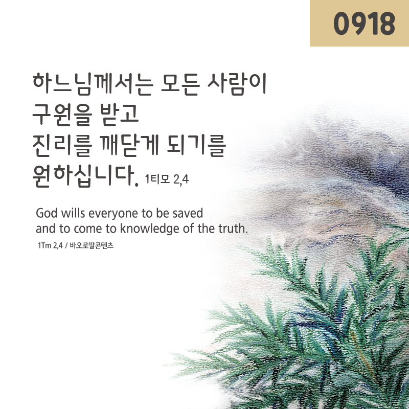 KakaoTalk_Photo_2023-09-18-23-17-28.png