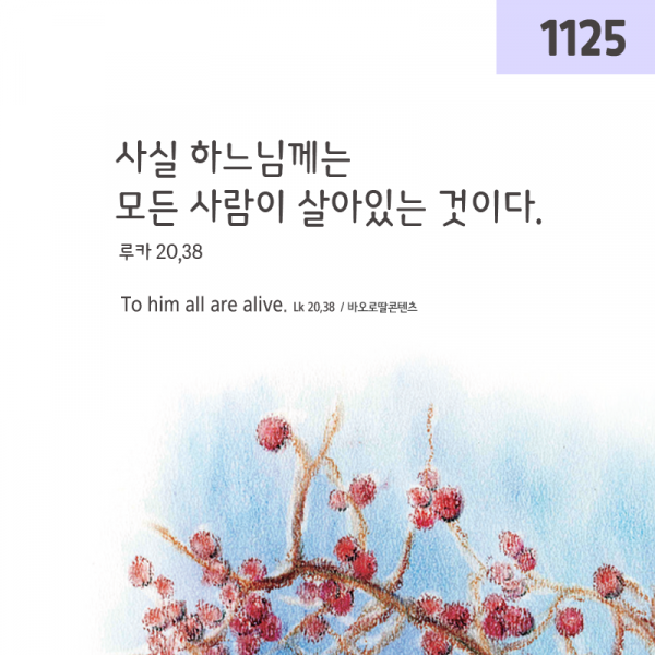 KakaoTalk_Photo_2023-11-25-11-26-09.png