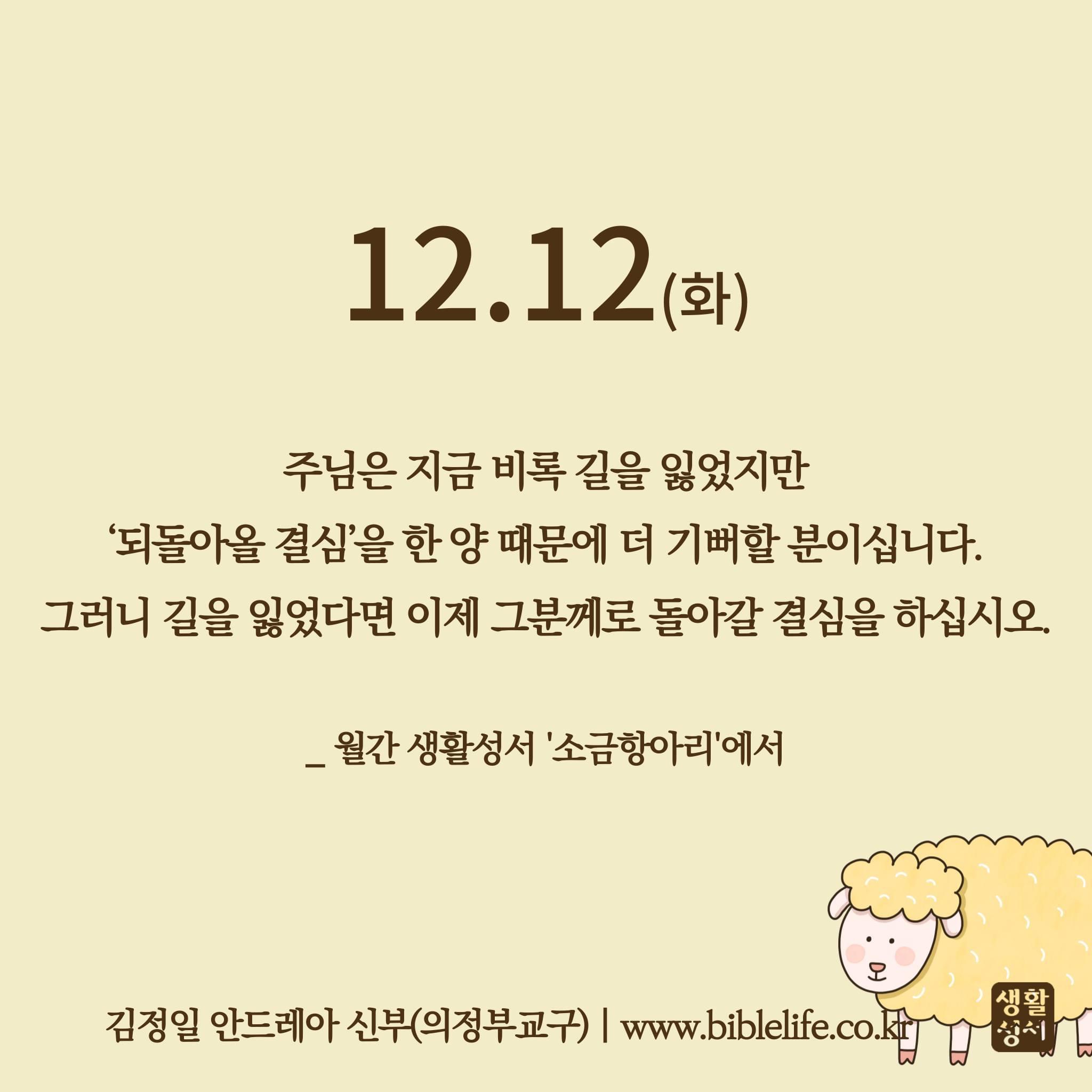 KakaoTalk_Photo_2023-12-12-09-18-30.jpeg