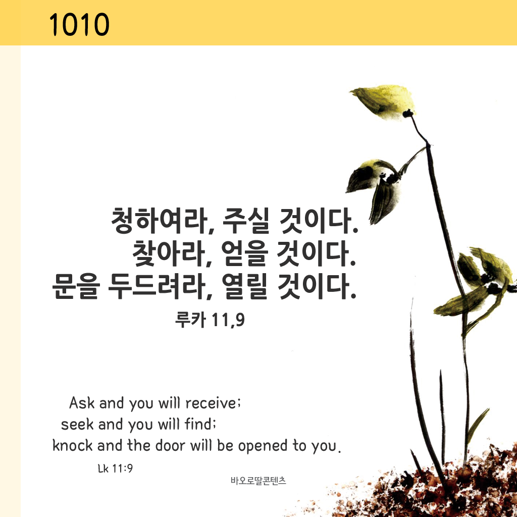 IMG_7963.png IMG_7963.png