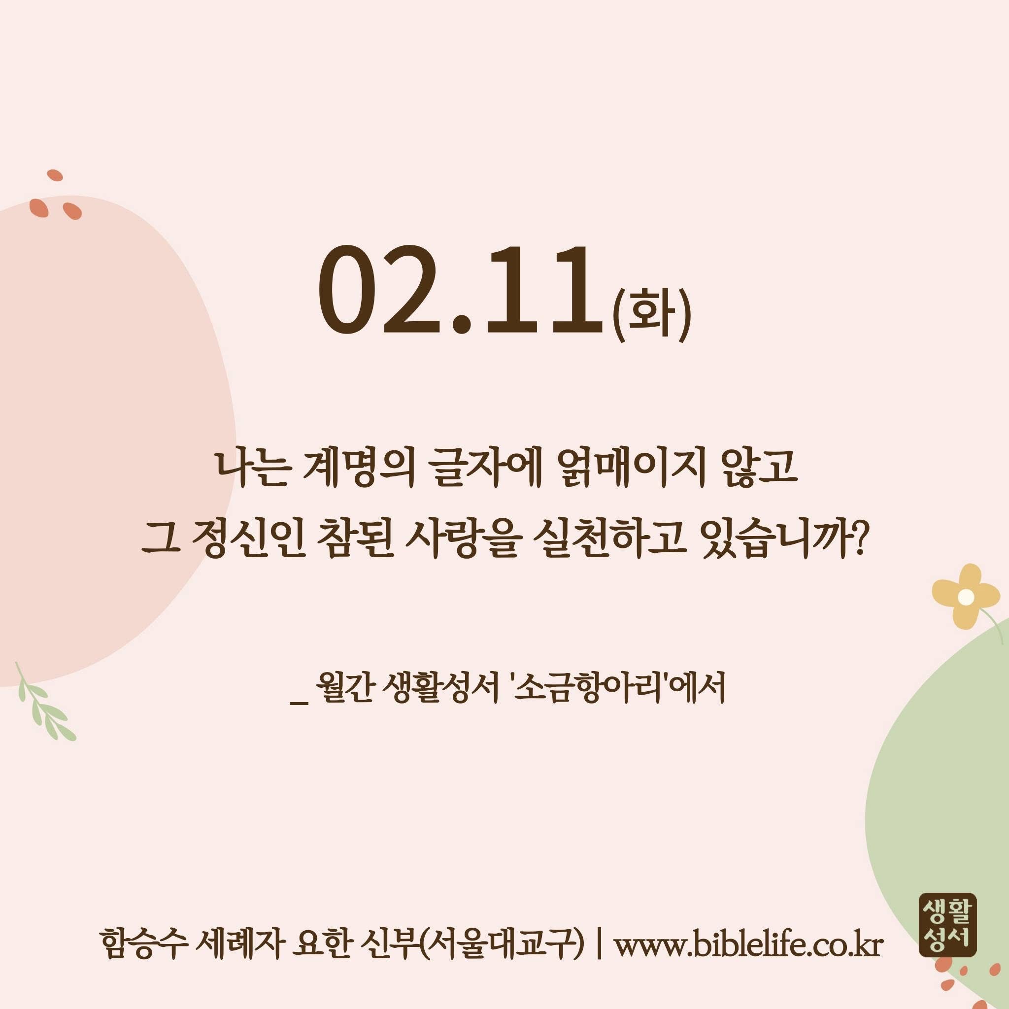 KakaoTalk_Photo_2025-02-11-09-05-07.jpeg KakaoTalk_Photo_2025-02-11-09-05-07.jpeg