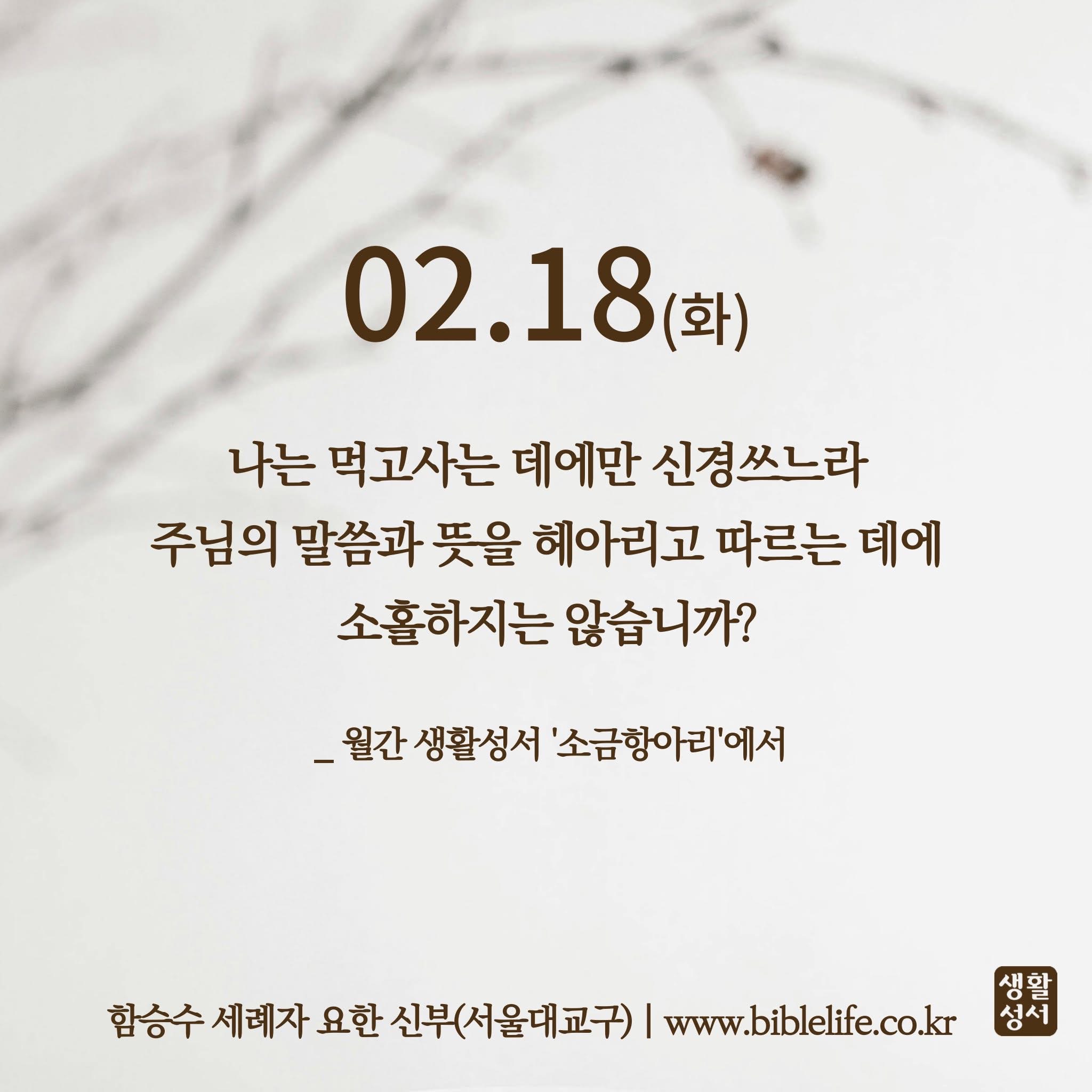 KakaoTalk_Photo_2025-02-18-09-30-17.jpeg KakaoTalk_Photo_2025-02-18-09-30-17.jpeg