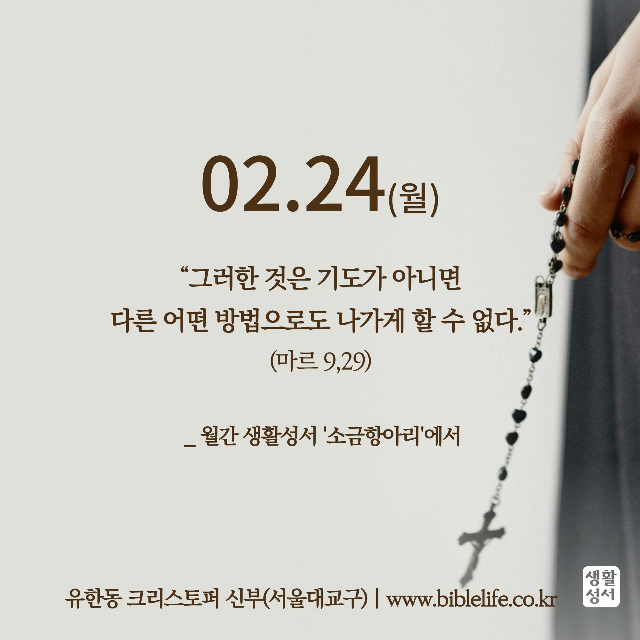 KakaoTalk_Photo_2025-02-24-12-21-52.jpeg KakaoTalk_Photo_2025-02-24-12-21-52.jpeg