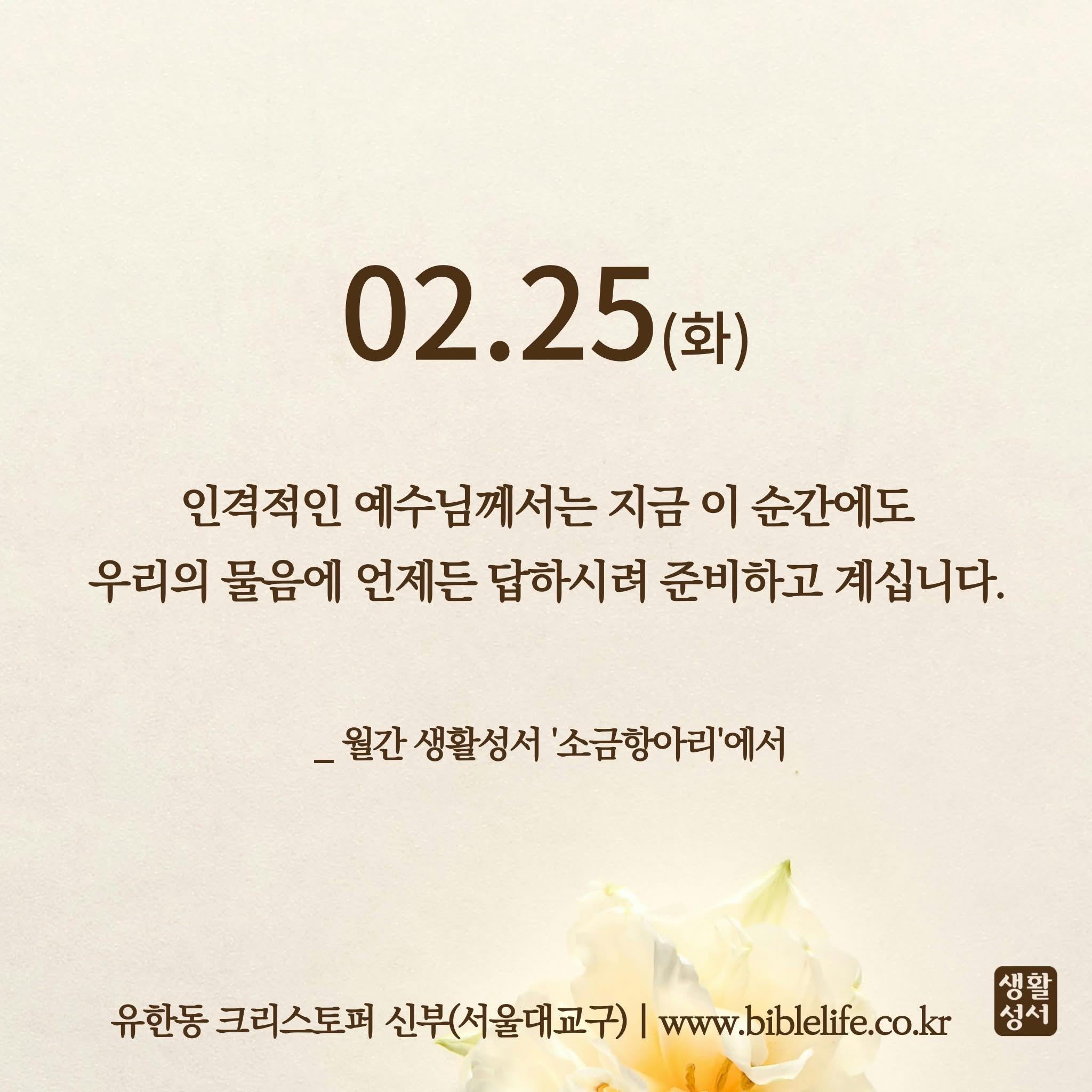 KakaoTalk_Photo_2025-02-25-23-02-50.jpeg KakaoTalk_Photo_2025-02-25-23-02-50.jpeg