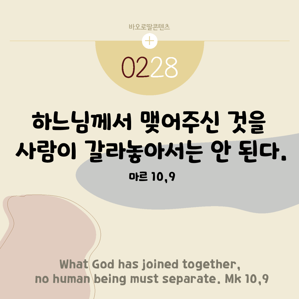 KakaoTalk_Photo_2025-02-28-09-08-57.png KakaoTalk_Photo_2025-02-28-09-08-57.png