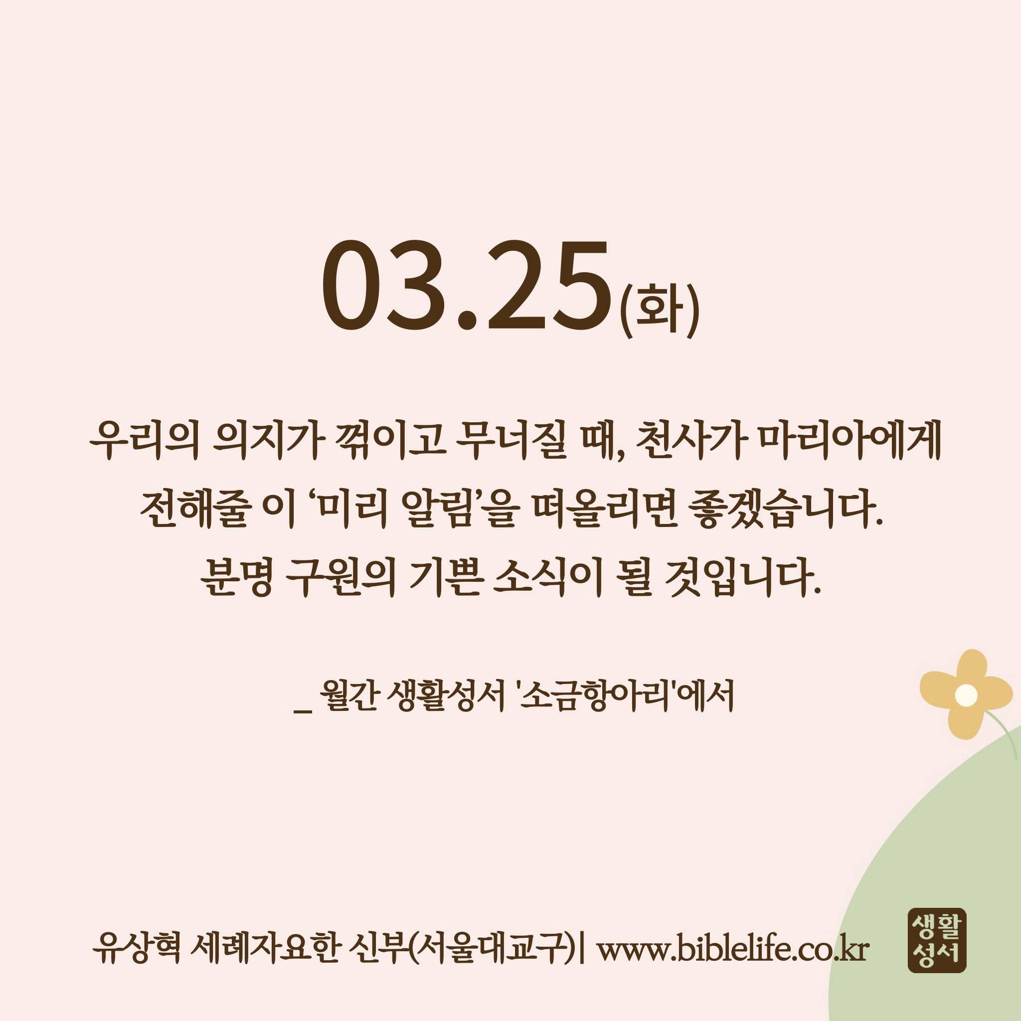 KakaoTalk_Photo_2025-03-25-09-11-39.jpeg KakaoTalk_Photo_2025-03-25-09-11-39.jpeg