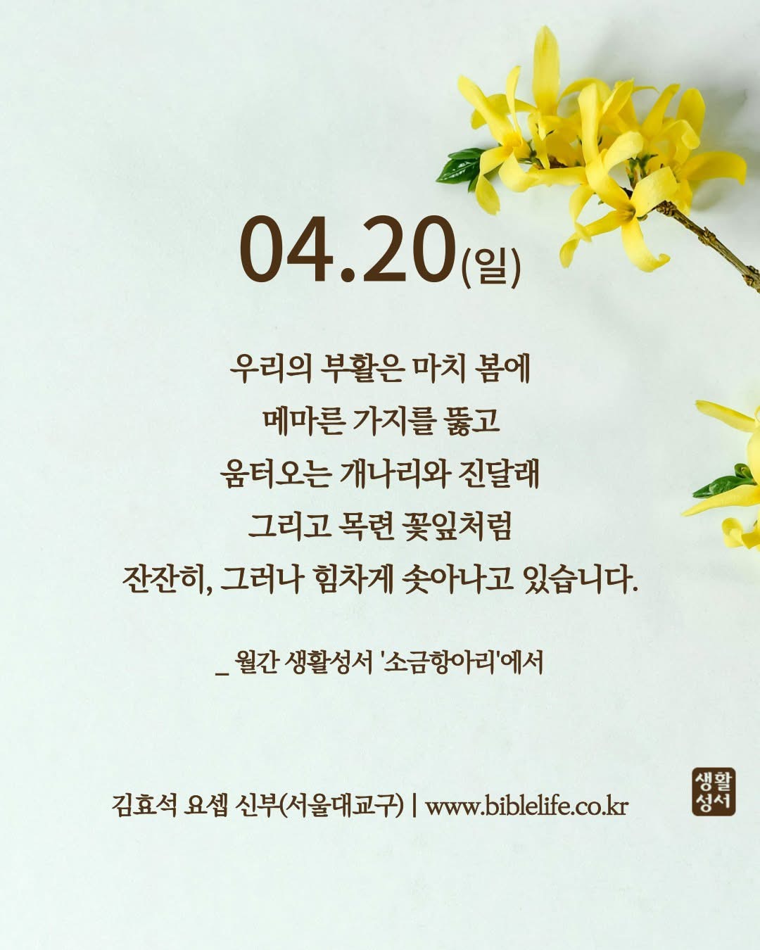 KakaoTalk_Photo_2025-04-20-08-44-26.jpeg KakaoTalk_Photo_2025-04-20-08-44-26.jpeg