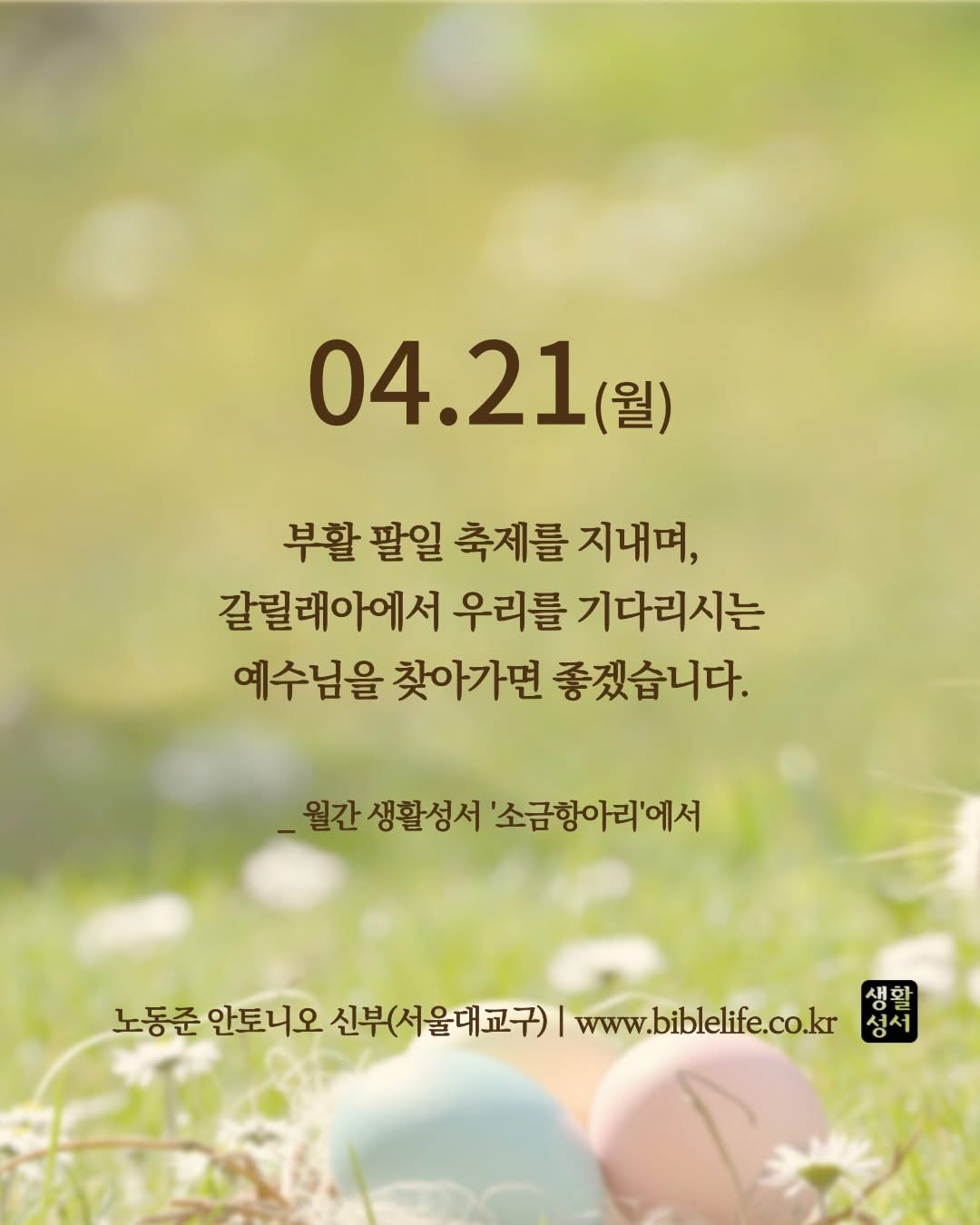 KakaoTalk_Photo_2025-04-21-08-49-16.jpeg KakaoTalk_Photo_2025-04-21-08-49-16.jpeg