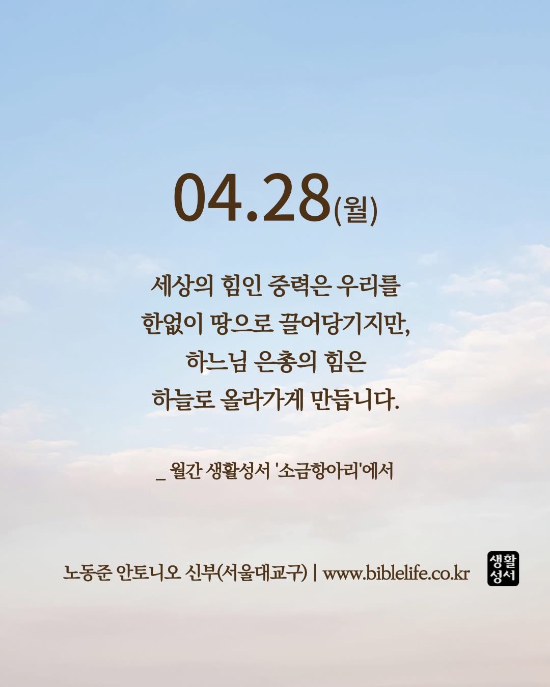 KakaoTalk_Photo_2025-04-28-09-01-58.jpeg KakaoTalk_Photo_2025-04-28-09-01-58.jpeg