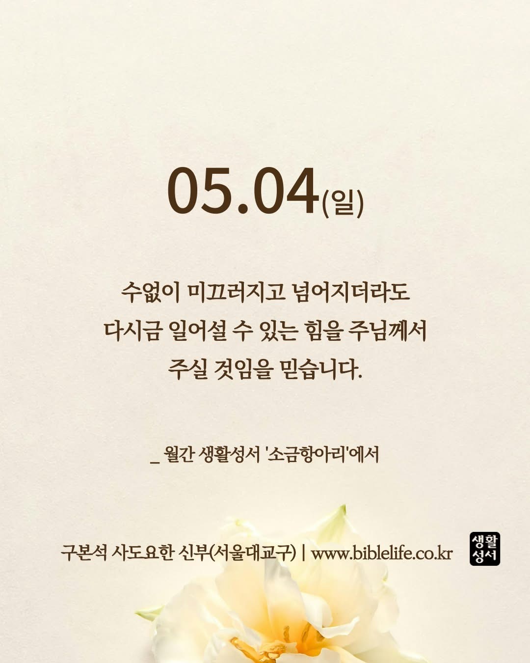 KakaoTalk_Photo_2025-05-04-09-05-02.jpeg KakaoTalk_Photo_2025-05-04-09-05-02.jpeg