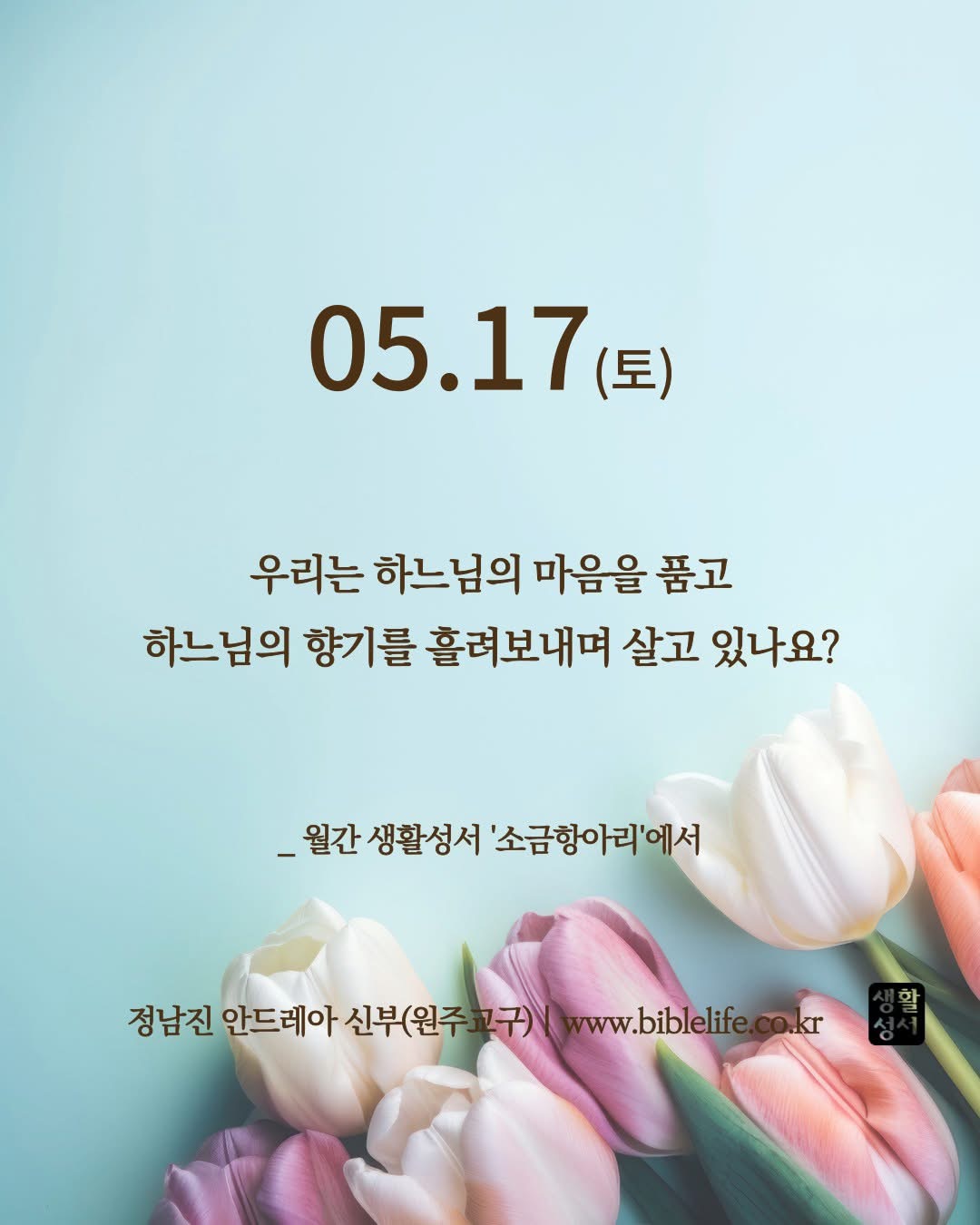 KakaoTalk_Photo_2025-05-17-14-56-40.jpeg KakaoTalk_Photo_2025-05-17-14-56-40.jpeg