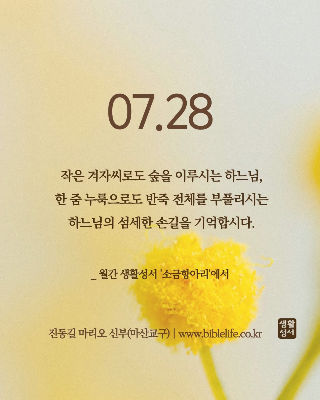 KakaoTalk_Photo_2025-07-28-09-04-52.jpeg KakaoTalk_Photo_2025-07-28-09-04-52.jpeg