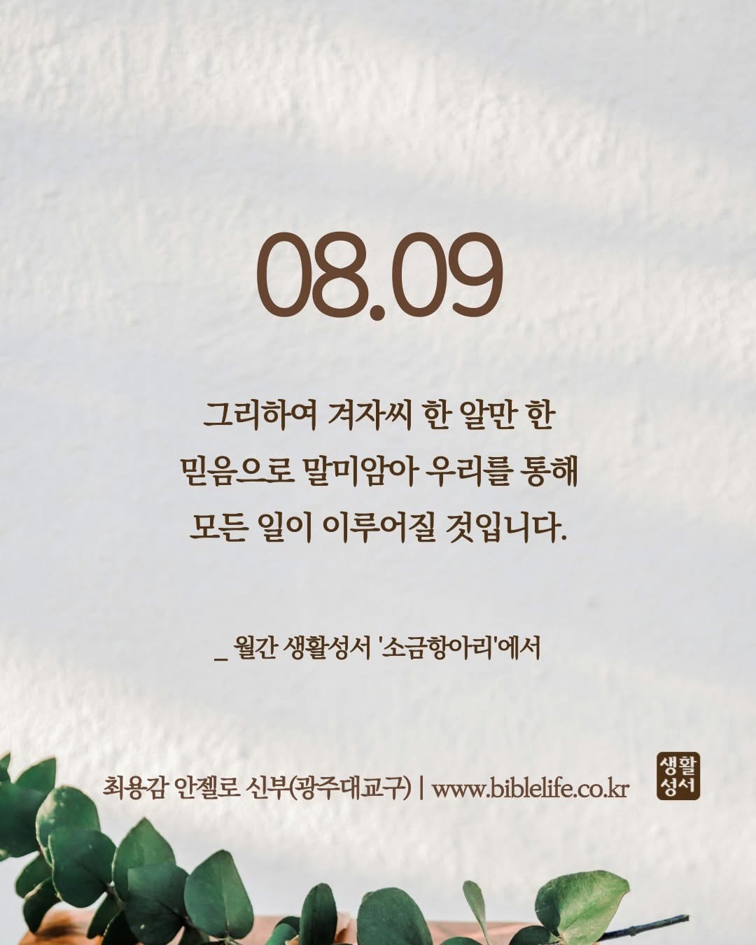 KakaoTalk_Photo_2025-08-09-09-06-18.jpeg KakaoTalk_Photo_2025-08-09-09-06-18.jpeg