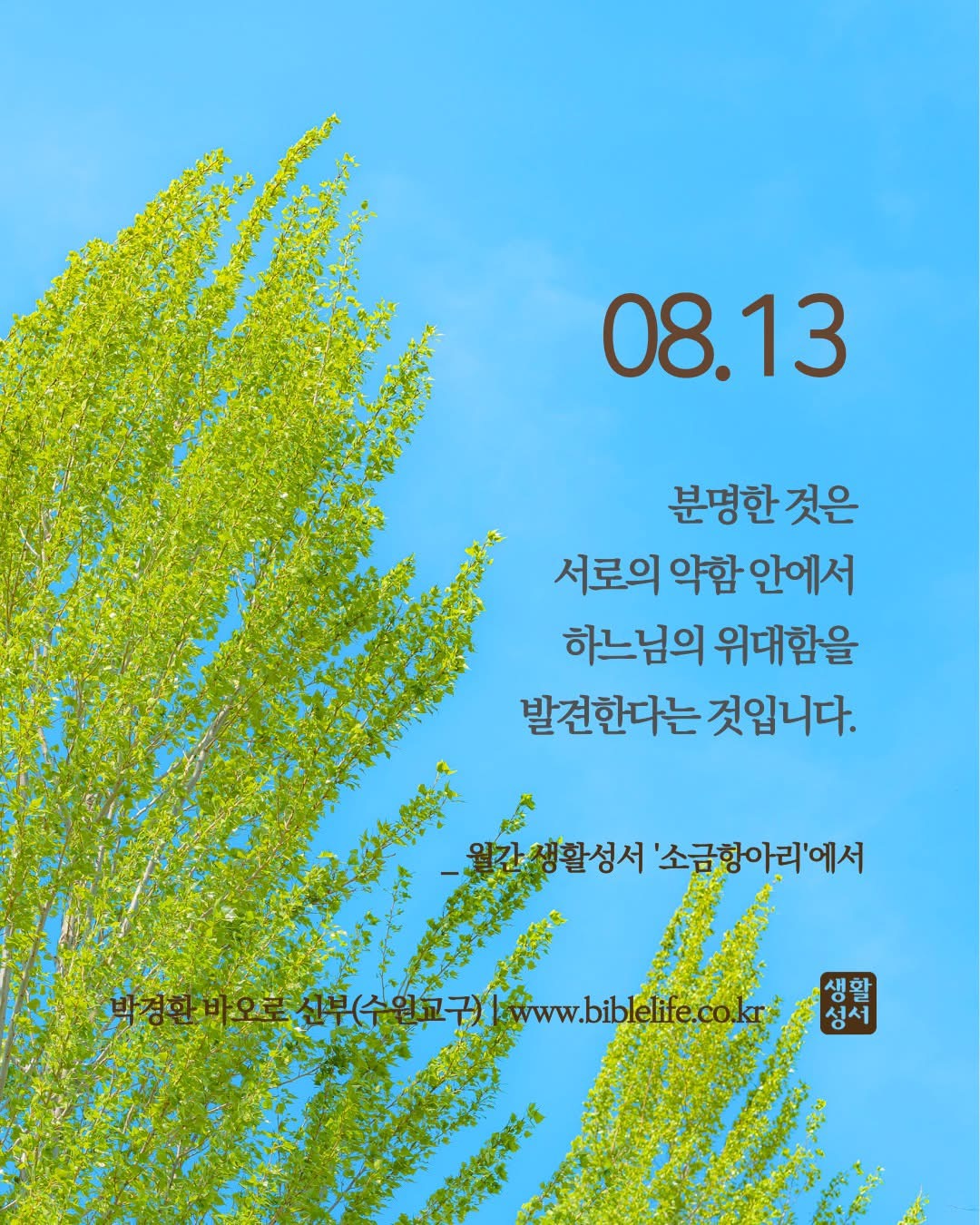 KakaoTalk_Photo_2025-08-13-13-23-43.jpeg