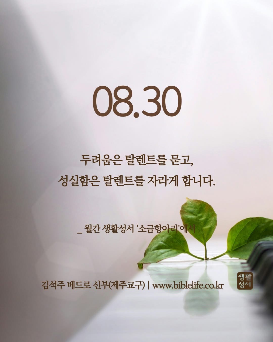 KakaoTalk_Photo_2025-08-30-08-54-12.jpeg KakaoTalk_Photo_2025-08-30-08-54-12.jpeg