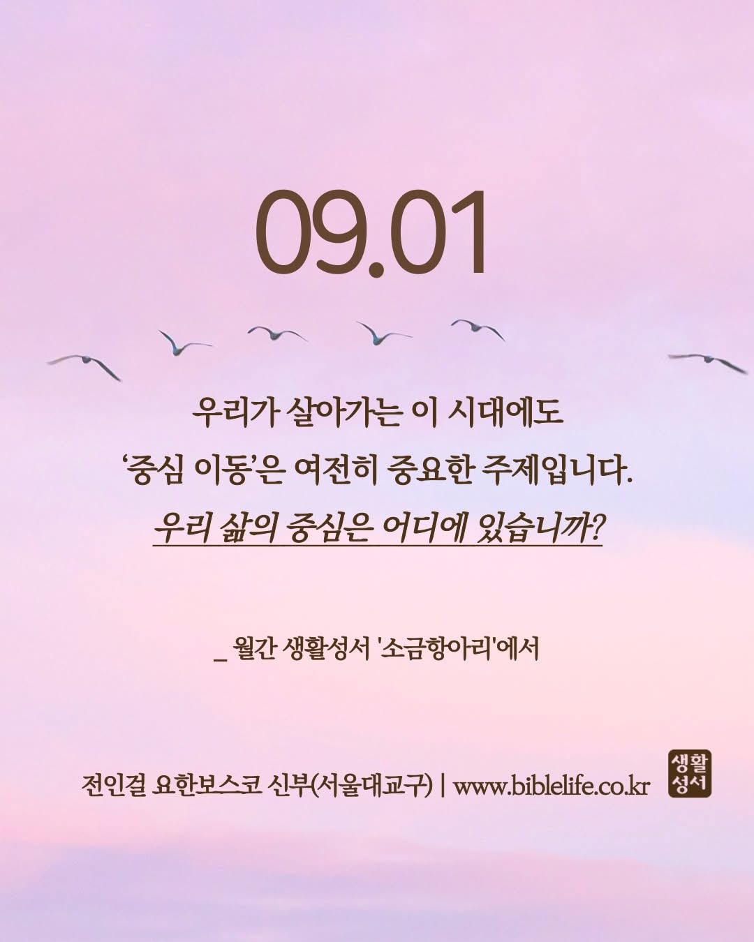 KakaoTalk_Photo_2025-09-01-08-56-48.jpeg KakaoTalk_Photo_2025-09-01-08-56-48.jpeg
