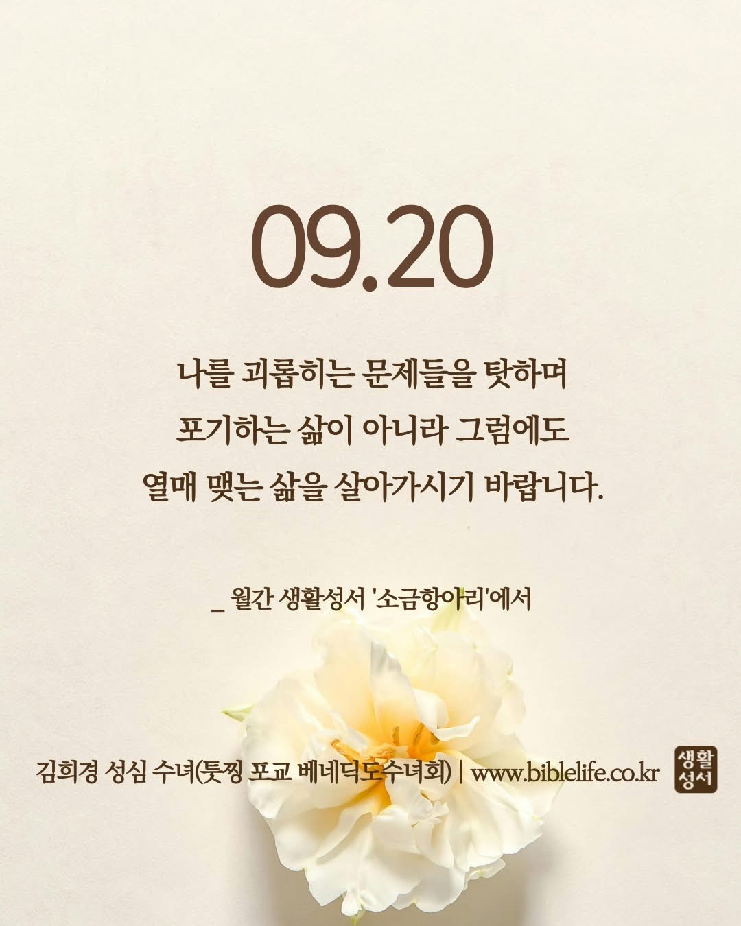KakaoTalk_Photo_2025-09-20-11-28-34.jpeg
