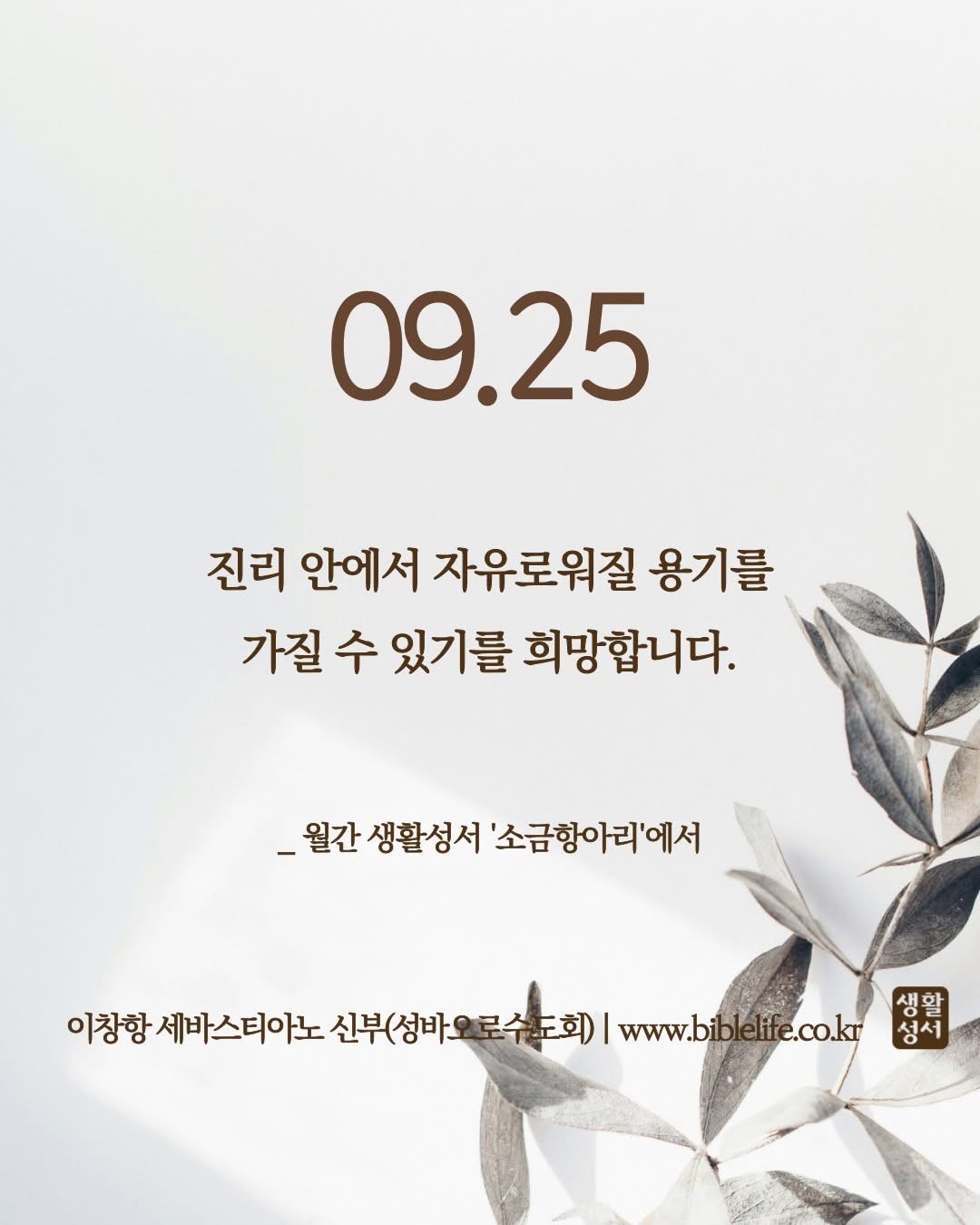 KakaoTalk_Photo_2025-09-25-08-56-55.jpeg