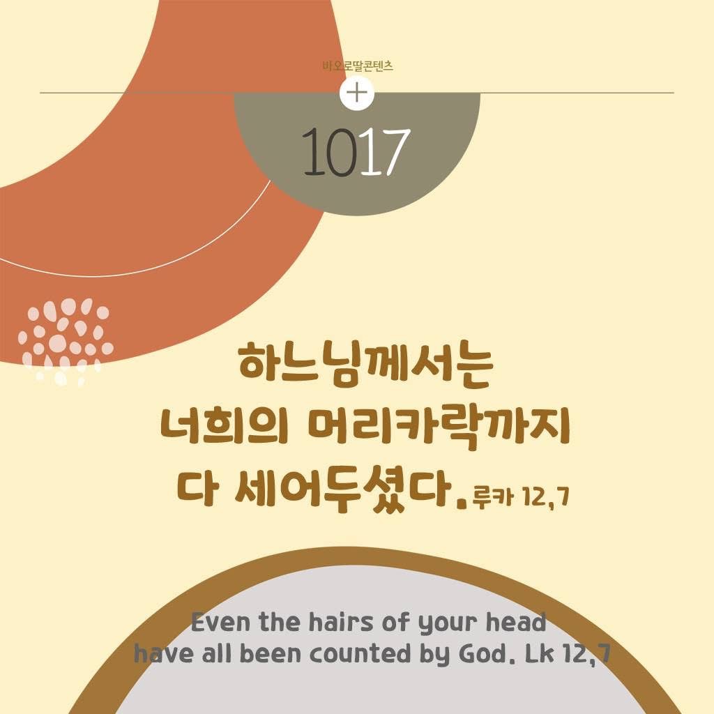 KakaoTalk_Photo_2025-10-17-09-03-15.jpeg KakaoTalk_Photo_2025-10-17-09-03-15.jpeg
