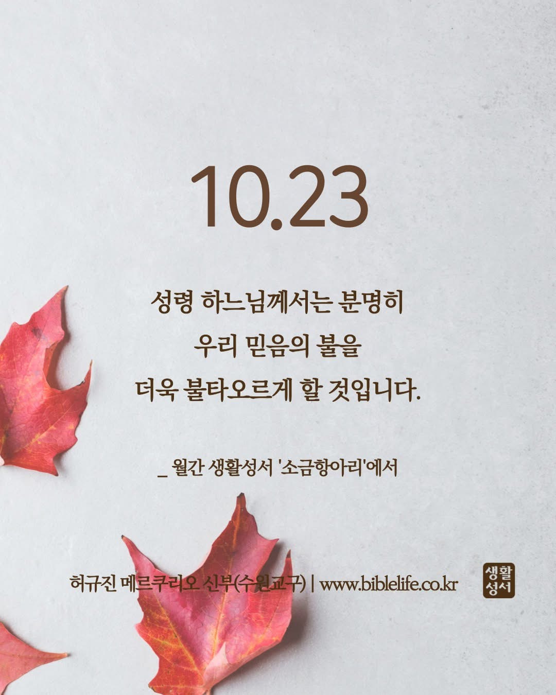 KakaoTalk_Photo_2025-10-23-09-00-43.jpeg KakaoTalk_Photo_2025-10-23-09-00-43.jpeg