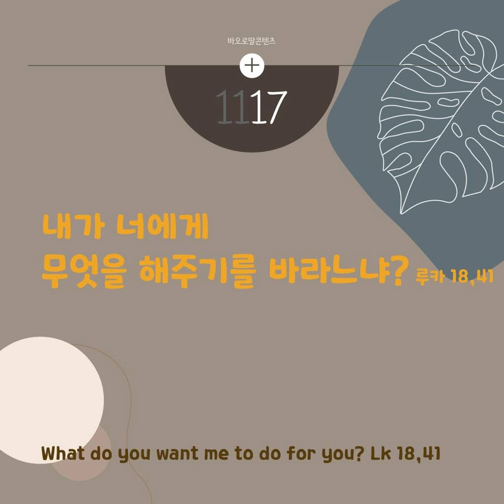 IMG_2842.jpeg IMG_2842.jpeg