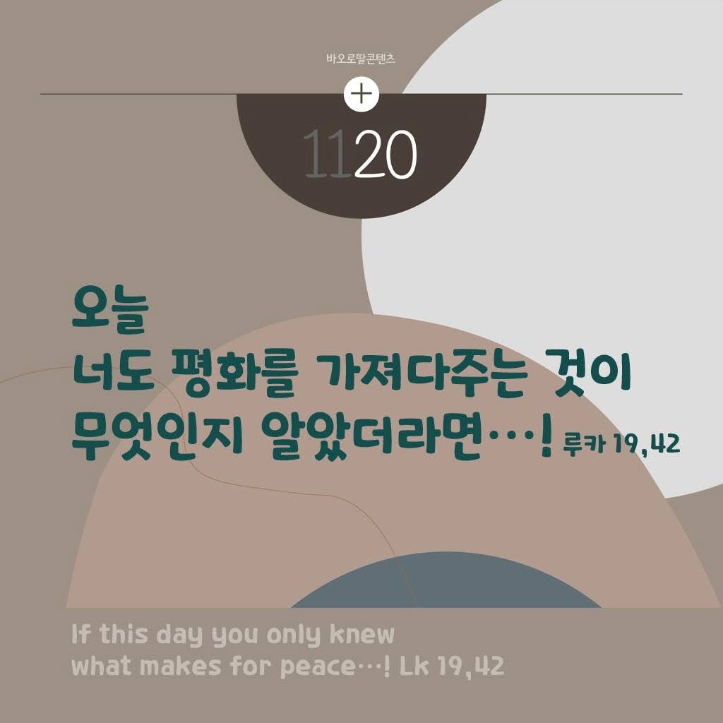 IMG_2892.jpeg IMG_2892.jpeg