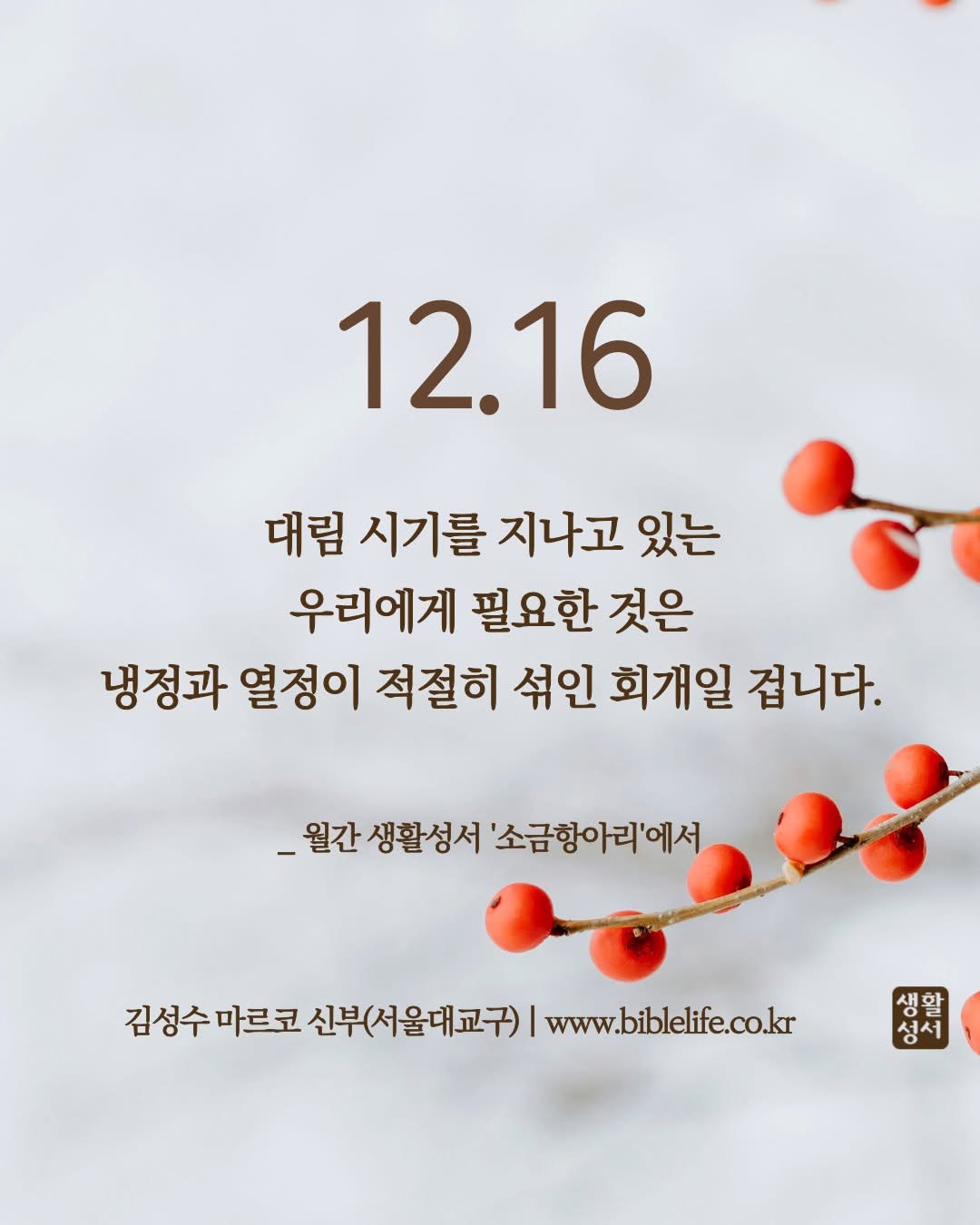 IMG_3349.jpeg IMG_3349.jpeg