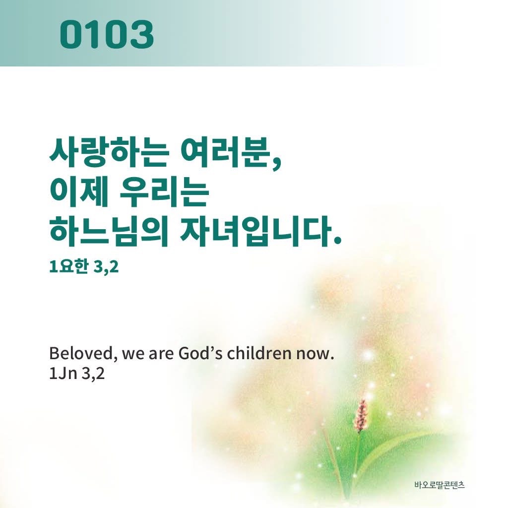 KakaoTalk_Photo_2026-01-04-21-59-08.jpeg KakaoTalk_Photo_2026-01-04-21-59-08.jpeg